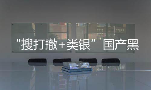 布林维克国产哥贼大搜1日即将打撤类黑马亨窃银5月发售