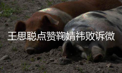 败诉王思微博聪点她赞鞠是第婧祎经不 已一次