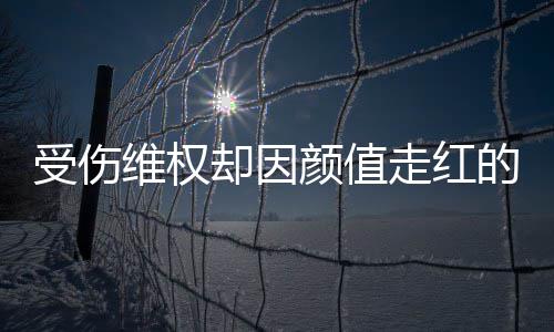 维权走红张回受伤事 人没的小的号假却因颜值应