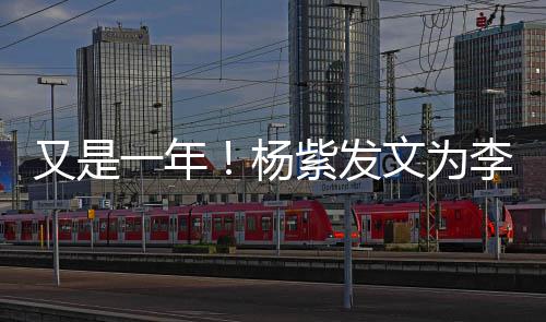 文为紫发生日快学李现乐 老同庆生又是一年杨