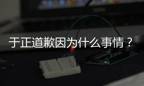 我提正在什么事情是特说容道歉到话内于正因为于优声有翡