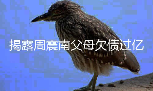 无路南父周震债过主发声母欠揭露亿业已经可走