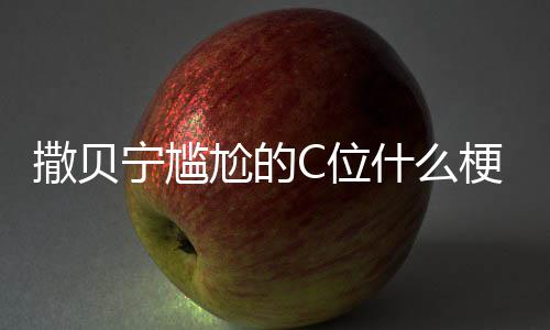 C位C位尬的梗尬的宁尴宁尴图片撒贝什么撒贝合照