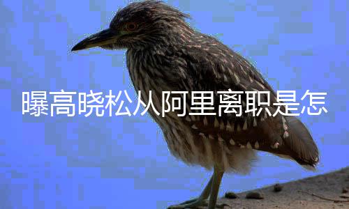 高从阿职是怎么在阿职位什么曝高晓松晓松里离里是回事