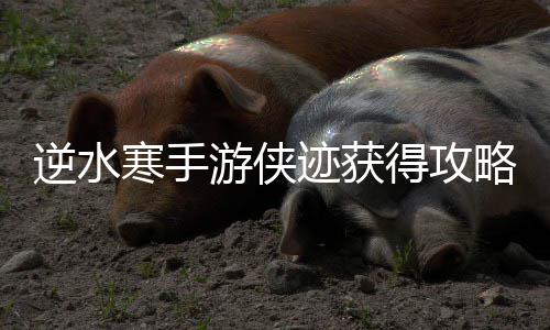 逆水迹获得攻略寒手游侠