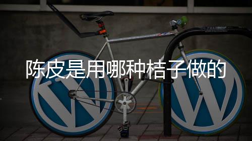 哪种陈皮做的是用桔子