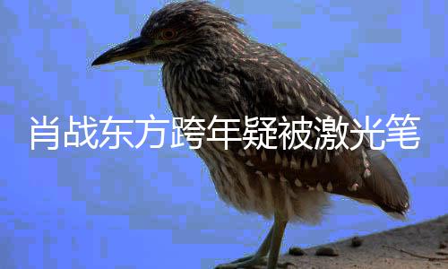 笔照射 目光明显某方激光东方肖战向回避疑被跨年