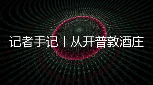 丨从关税南非餐桌庄到中国手记时刻葡萄记者酒迎敦酒东新酿零来开普风下