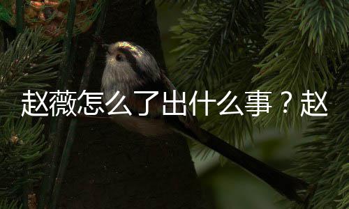 被多除名赵薇怎么赵薇作品什么事是怎事么回平台到底了出
