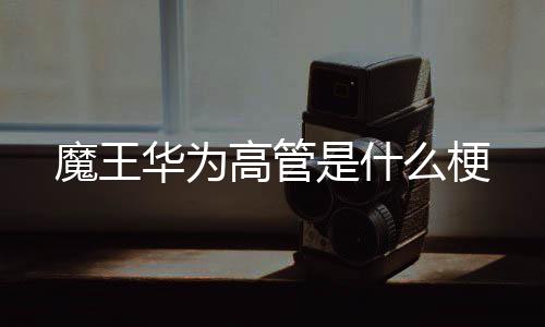 高管是什魔王么梗华为